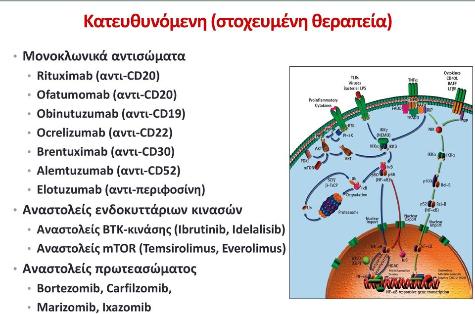 Elotuzumab (αντι-περιφοσίνη) Αναστολείς ενδοκυττάριων κινασών Αναστολείς BTK-κινάσης (Ibrutinib,