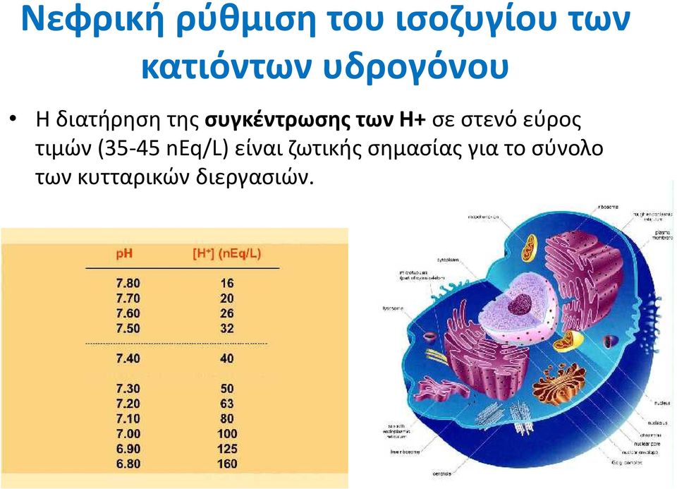 σε στενό εύρος τιμών (35-45 neq/l) είναι