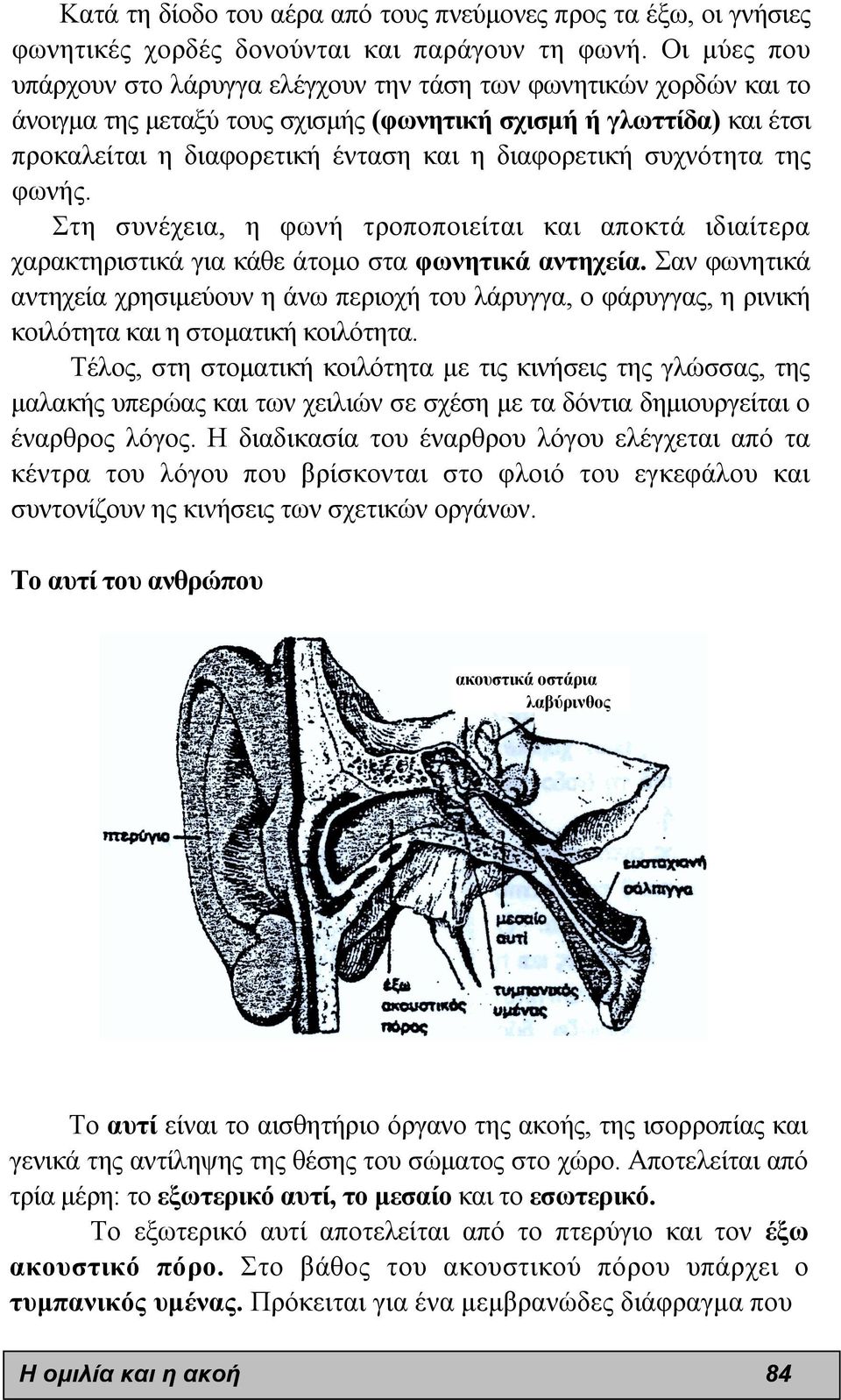 συχνότητα της φωνής. Στη συνέχεια, η φωνή τροποποιείται και αποκτά ιδιαίτερα χαρακτηριστικά για κάθε άτοµο στα φωνητικά αντηχεία.