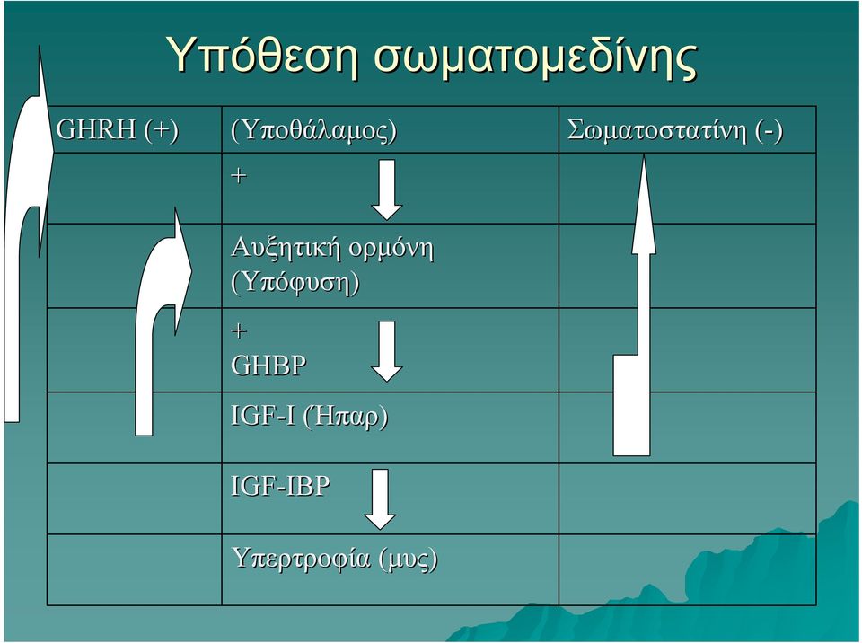 (Υπόφυση) + GHBP IGF-I I (Ήπαρ(