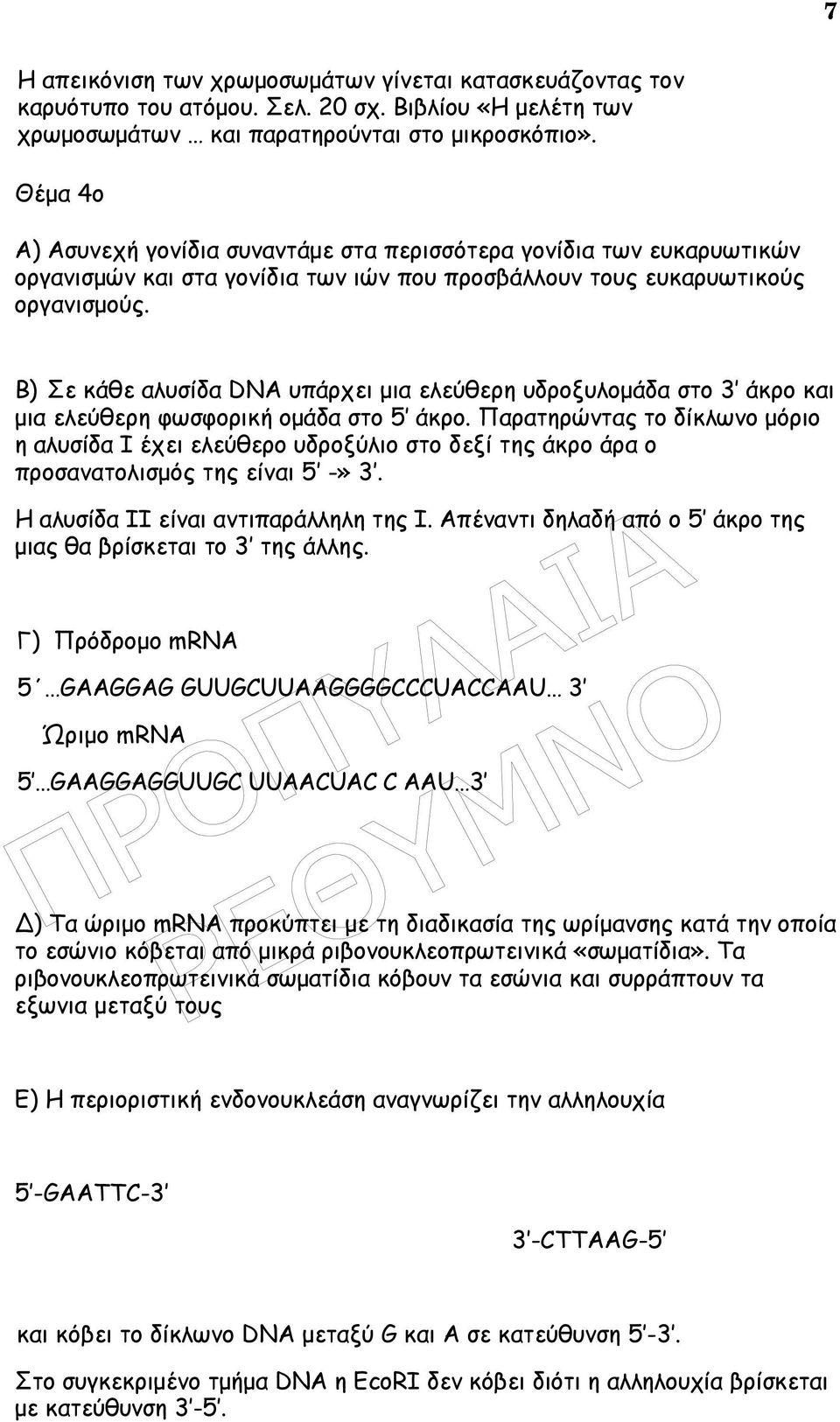 Β) Σε κάθε αλυσίδα DNA υπάρχει µια ελεύθερη υδροξυλοµάδα στο 3 άκρο και µια ελεύθερη φωσφορική οµάδα στο 5 άκρο.