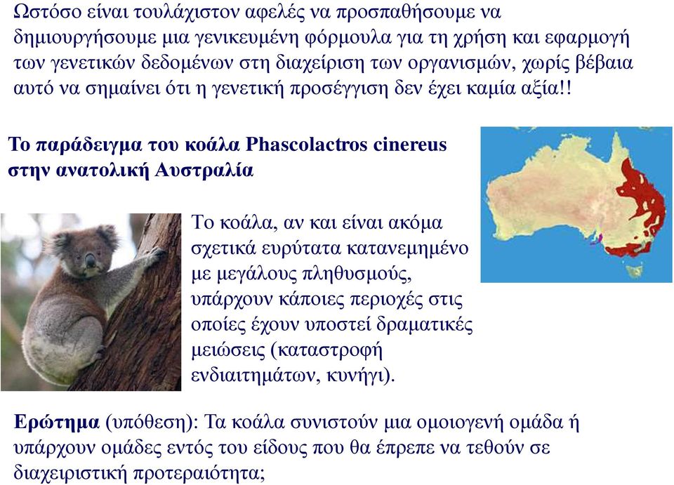 ! Το παράδειγμα του κοάλα Phascolactros cinereus στην ανατολική Αυστραλία Τo κοάλα, αν και είναι ακόμα σχετικά ευρύτατα κατανεμημένο με μεγάλους πληθυσμούς, υπάρχουν