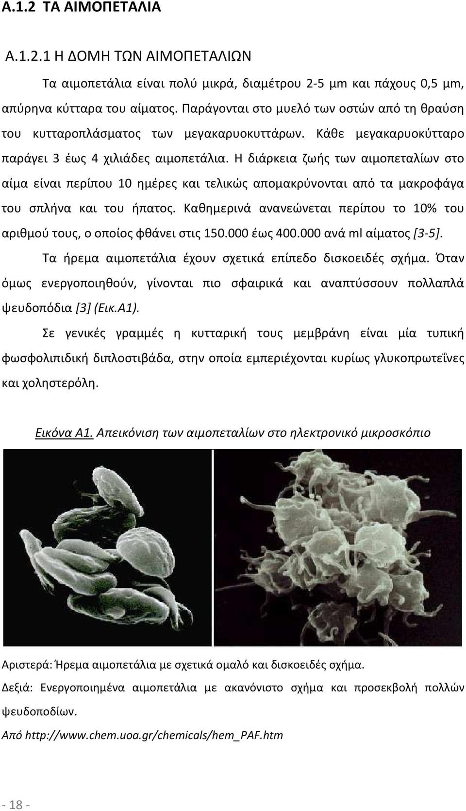 Η διάρκεια ζωής των αιμοπεταλίων στο αίμα είναι περίπου 10 ημέρες και τελικώς απομακρύνονται από τα μακροφάγα του σπλήνα και του ήπατος.