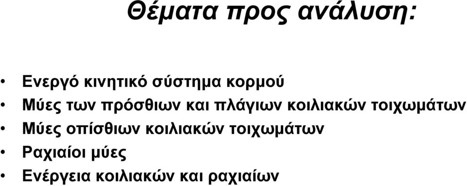 κοιλιακών τοιχωμάτων Μύες οπίσθιων κοιλιακών