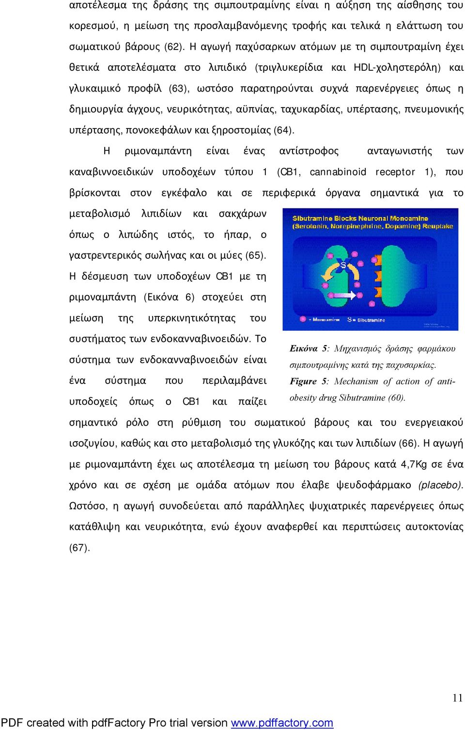 δημιουργία άγχους, νευρικότητας, αϋπνίας, ταχυκαρδίας, υπέρτασης, πνευμονικής υπέρτασης, πονοκεφάλων και ξηροστομίας (64).