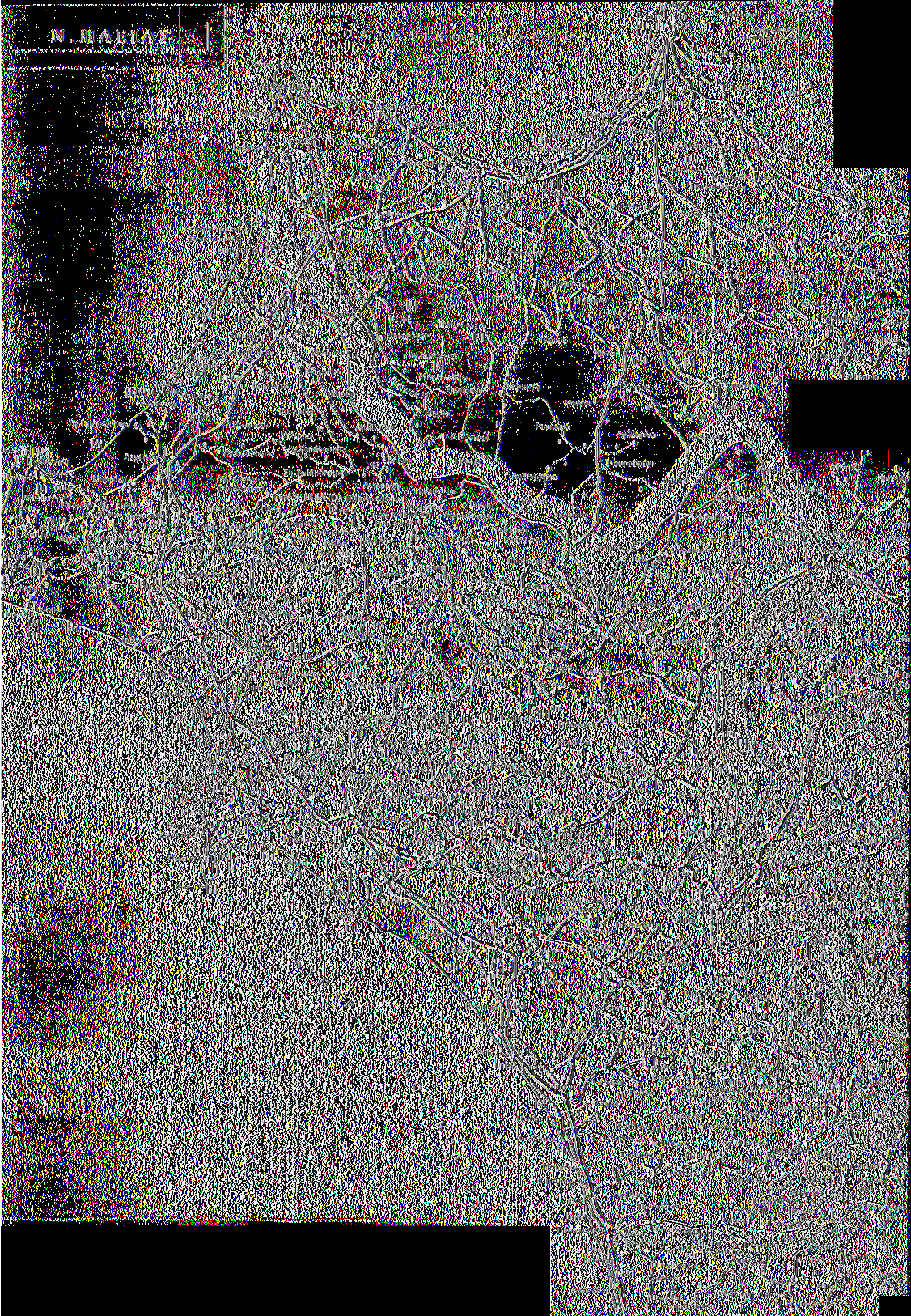 Π τ ί^ Γ Χ ΐίΜ ΐίτ ) Ρ Α Μ Τ X Α Ο Π Κ Ο Λ Π Ο ~~---> τ- * Σκιοεοπα Ώ Μ Γ ΙΑ Τ Ρ Α Η π Λ Β τ ΐ β β Ι ν Γ ν Σ Η ~ Μ ελλμκκκ ι ΔουκπνοΰιΙ Μ υροβρυση ΛΑΙΟΙ ΧίΙΜΑΡΠΝ ΙίΛΤΜΝΟΥ Α ΧΑΡΑΔΡΟΤ Λ * 3<νθ#^