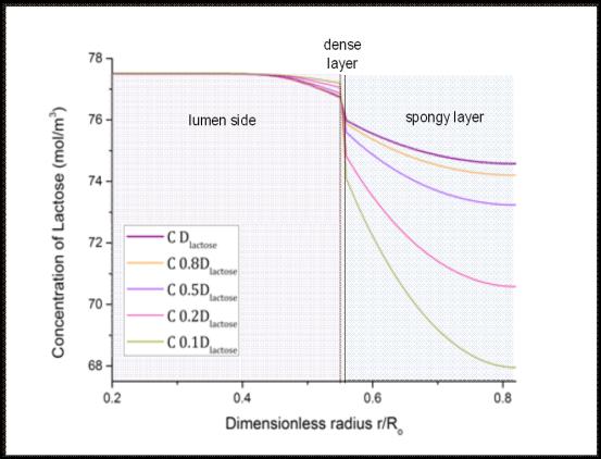 Αραιό Στρώμα ε =0.696 D spngy =7.38 10-10 m /s D dense = 3.7 10-11 m /s (Βαλλιστική μέθοδος) D spngy =.