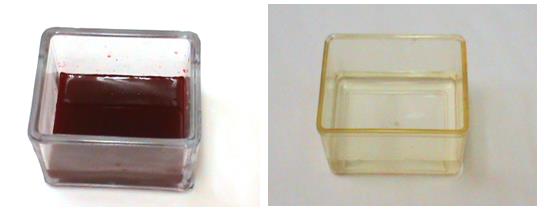 Γεμίζουμε μία λεκάνη με διάλυμα κατάλληλης χρωστικής (Φωτογραφία 5.6) και βαπτίζουμε τη μεμβράνη για δέκα λεπτά. Η χρωστική συμπλέκεται με τις πρωτεΐνες προσδίδοντας σε αυτές κόκκινο χρώμα.