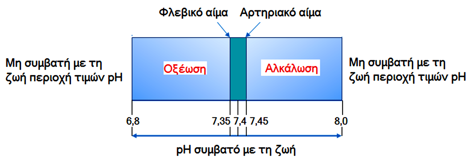 Σχήμα 4.1 Σχηματική αναπαράσταση των διακυμάνσεων του ph του περιβάλλοντος του οργανισμού.