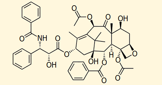 1.5. ΠΑΚΛΙΤΑΞΕΛΗ (PACLITAXEL, PCT) Η πακλιταξέλη, γνωστή και ως ταξόλη, είναι ένα χημειοθεραπευτικό φάρμακο, που ανακαλύφθηκε το 1967 ως εκχύλισμα του φλοιού του έλατου Taxus brevifolia, που