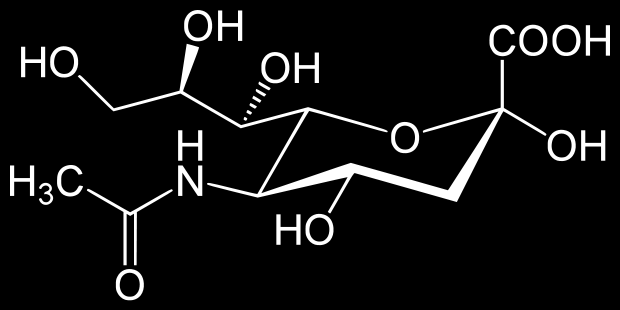 ΓΑΓΓΛΙΟΖΙΤΕΣ N-acetylneuraminic acid (NANA)