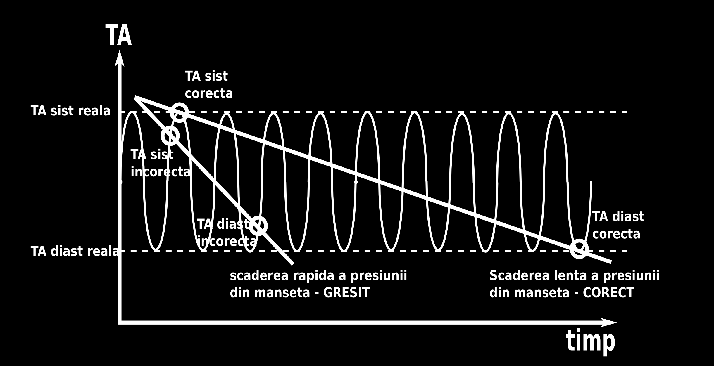 Metoda auscultatorie Influenta vitezei de