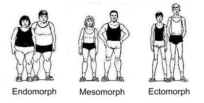 Ενδομορφικός (Endomorph): Είναι ο σωματότυπος με το υψηλότερο ποσοστό σωματικού λίπους, το οποίο συσσωρεύεται κυρίως στο πάνω μέρος του σώματος, και συγκεκριμένα στην περιοχή την κοιλιάς και