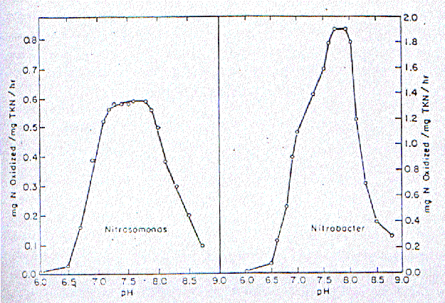 ρήκα 3.2. Δλάνηδζδ ημο κζηνμπμίδζδξ από ημ ph (Grady and Lim, 1980). 3.1.3. Δπίδξαζε ηνπ αεξηζκνύ ζηελ ληηξνπνίεζε Η πανμοζία ημο μλοβόκμο είκαζ απμθύηςξ απαναίηδηδ βζα ηδκ ακάπηολδ ηόζμ ηδξ Nitrosomonas όζμ ηαζ ημο Nitrobacter.