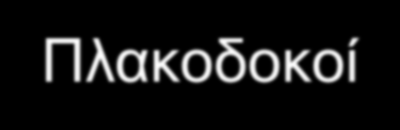 Θέματα Εισαγωγή Μοντελοποίηση κατασκευής Κατανομή φορτίων πλακών Ελαστικές