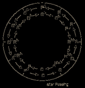 Ο Κύκλος με τις Πέμπτες Μπορούμε να αγγίξουμε και τις 12 νότες της χρωματικής κλίμακας ανεβαίνοντας ή κατεβαίνοντας το πιάνο με βήματα μιας πέμπτης (3:2): Ανεβαίνοντας, φθάνουμε όλες τις λευκές νότες