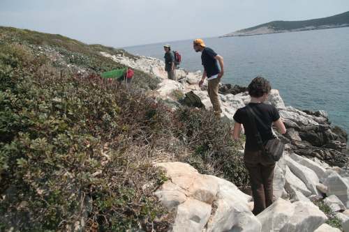 Περίληψη Θαλασσοκόρακας Στόχος μελέτης Μέθοδοι και