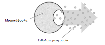 διάρκεια της πέψης. Χαρακτηριστικό παράδειγμα είναι η μικροενθυλάκωση των προβιοτικών, η οποία θεωρείται ιδιαίτερα χρήσιμη για τη διατήρηση των ευεργετικών ιδιοτήτων των προβιοτικών.