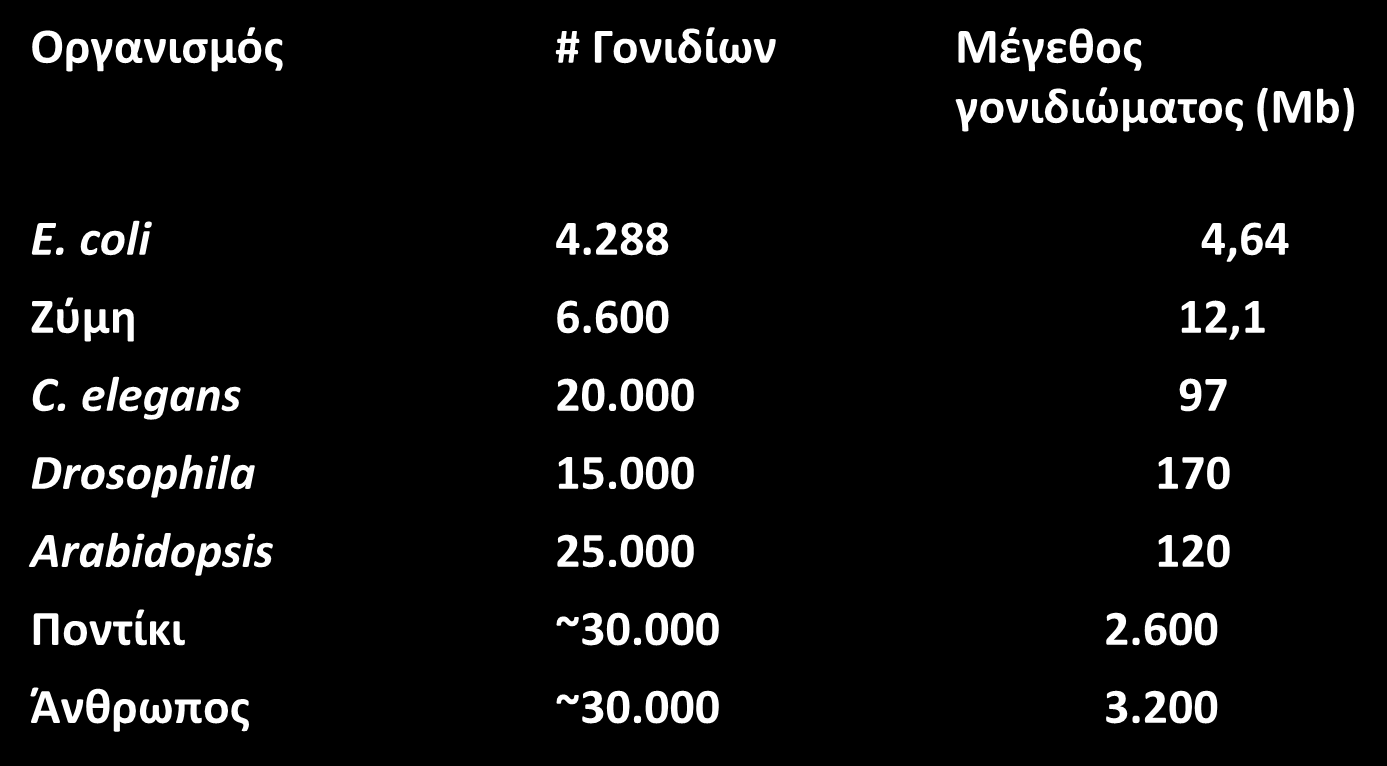 DNA Νουκλεϊνικά οξέα Φορείς Γενετικής πληροφορίας (3/5) Ούτε ο αριθμός των πρωτεϊνικών γονιδίων σχετίζεται με την πολυπλοκότητα Για παράδειγμα o νηματώδης σκώληκας, παρ όλο που είναι εξελικτικά