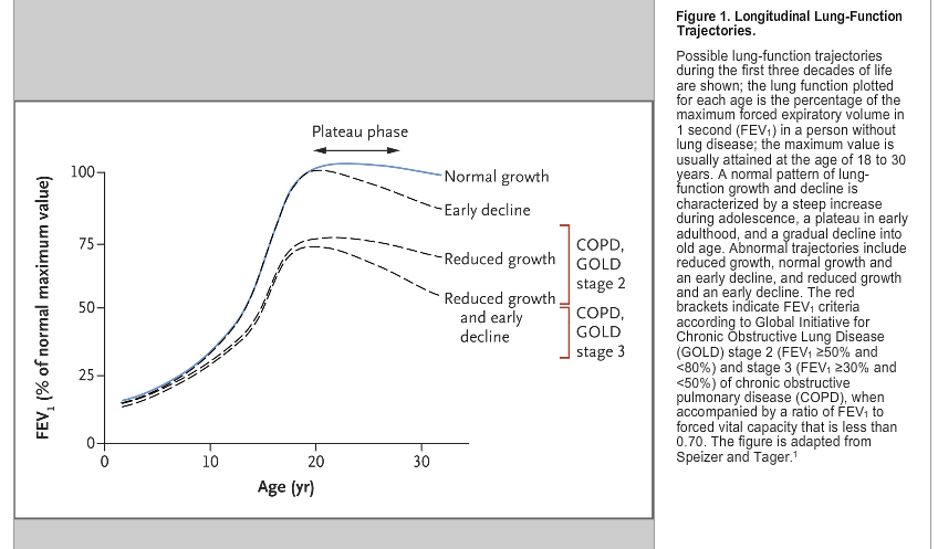 CAMP study 1993 CONCLUSIONS Childhood impairment of lung function and male sex were the most significant predictors of abnormal longitudinal patterns of lung-function growth and decline.