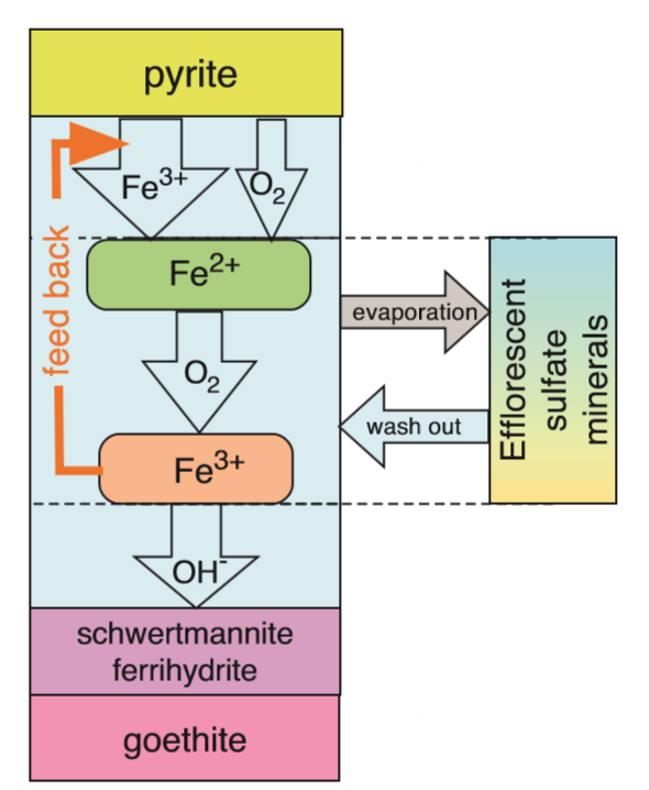 Σταδιακή οξείδωση σιδηροπυρίτη σε περιβάλλον όξινης απορροής 2FeS 2 + 2H 2 O + 7O 2 2Fe 2+ + 4SO 4 2- + 4H + 4Fe 2+ + O 2 + 4H +