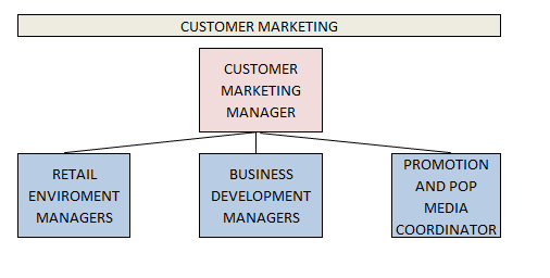 Το Customer Development Team (CDT-CSL analysts) διαχειρίηεται τισ παραγγελίεσ των VMI πελατϊν, εξάγει reports ςχετικά με τισ κακθμερινζσ πωλιςεισ και ελζγχει τισ κατανομζσ των προωκθτικϊν κωδικϊν του