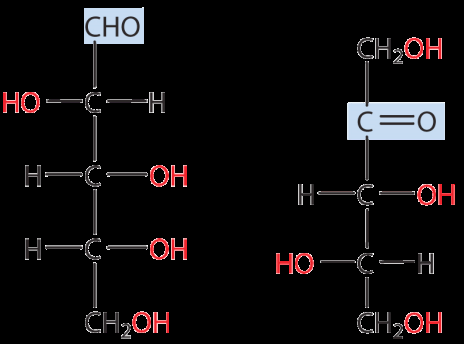 Κεφάλαιο 20 Υδατάνθρακες Σύνοψη Οι υδατάνθρακες ή σάκχαρα ταξινομούνται σε μονοσακχαρίτες, ολιγοσακχαρίτες και πολυσακχαρίτες.
