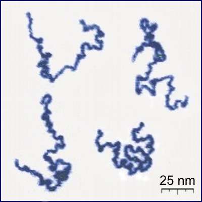 Σχήµα 1.1. Μοριακή αλυσίδα πολυµερούς όπως φωτογραφήθηκε από AFM (Atomic Force Microscope) Σχήµα 1.2. Θερµοσκληρυνόµενο Σχήµα 1.3.