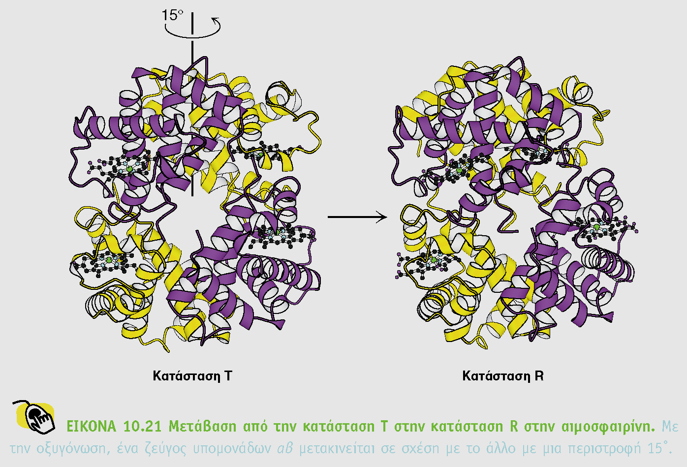 http://biochem.web.utah.