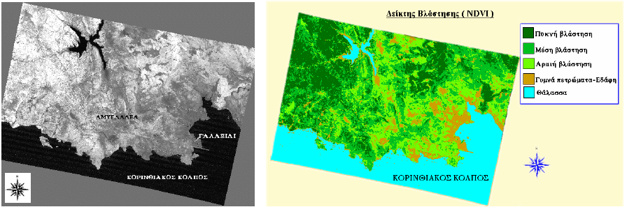 Εικόνα 5.10 Εικόνα του δείκτη βλάστησης μιας περιοχής στην Κεντρική Στερεά Ελλάδα, πριν και μετά την εφαρμογή της τεμαχιοποίησης της πυκνότητας (density slicing).
