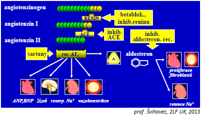 FARM Strana 80 Látky regulujúce RAAS 19. apríla 2014 17:15 RAAS systém - udržanie objemu a iónov receptory AT1 (pre stimuláciu angiotenzínom II.) --> tj.