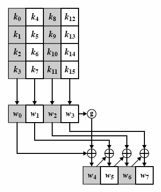 Εικόνα 11. Key Expansion [5] Στην Εικόνα 11 απεικονίζεται η δηµιουργία των πρώτων οκτώ λέξεων του επεκταµένου κλειδιού, χρησιµοποιώντας το σύµβολο g που εκπροσωπεί την πολύπλοκη λειτουργία.