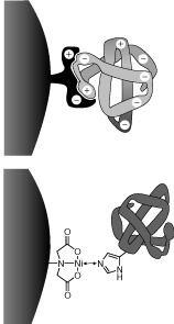Χρωματογραφία συγγένειας Ομάδες συγγένειας δεσμευμένες με στερεή φάση με επόξυ, αλδεύδικούς