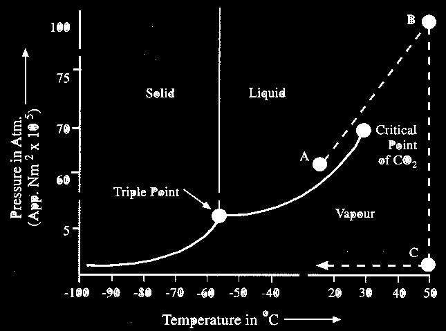 Critical point drying (CPD) Purpose: To completely dry