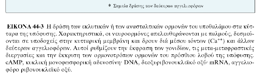 APXEΣ ΦYΣIOΛOΓIAΣ, TOMOΣ II