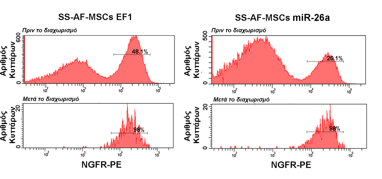 Κεφάλαιο 5 SERBP1 (SERPINE1 mrna binding protein 1) [236
