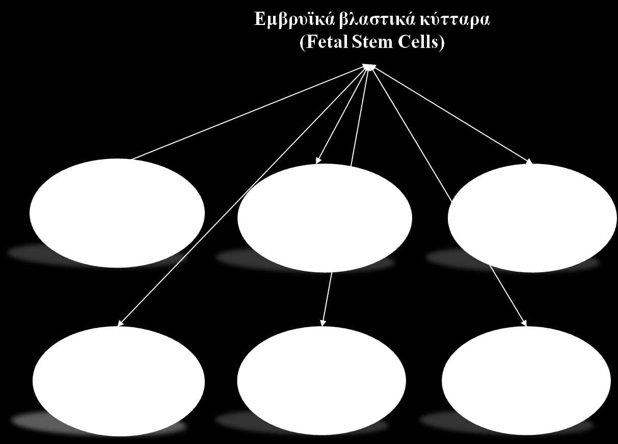 Κεφάλαιο 1 διατήρηση και επιδιόρθωση του συγκεκριμένου ιστού [63].