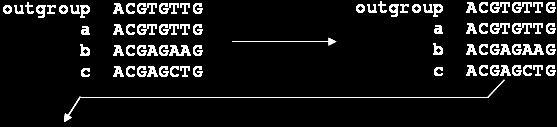 Μέγιστη Πιθανοφάνεια (Maximum Likelihood ML) Στη Μέγιστη Πιθανοφάνεια γίνονται υπολογισμοί πιθανοτήτων που βασίζονται σε ένα συγκεκριμένο μοντέλο εξέλιξης των αλληλουχιών ώστε να βρεθεί ένα δέντρο