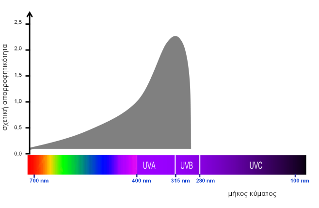 UV - ήλιος Το φάσμα απορρόφησης της μελανίνης.