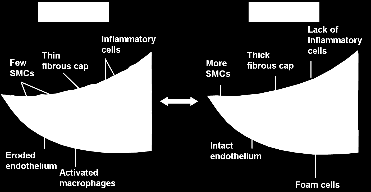 Characteristics of