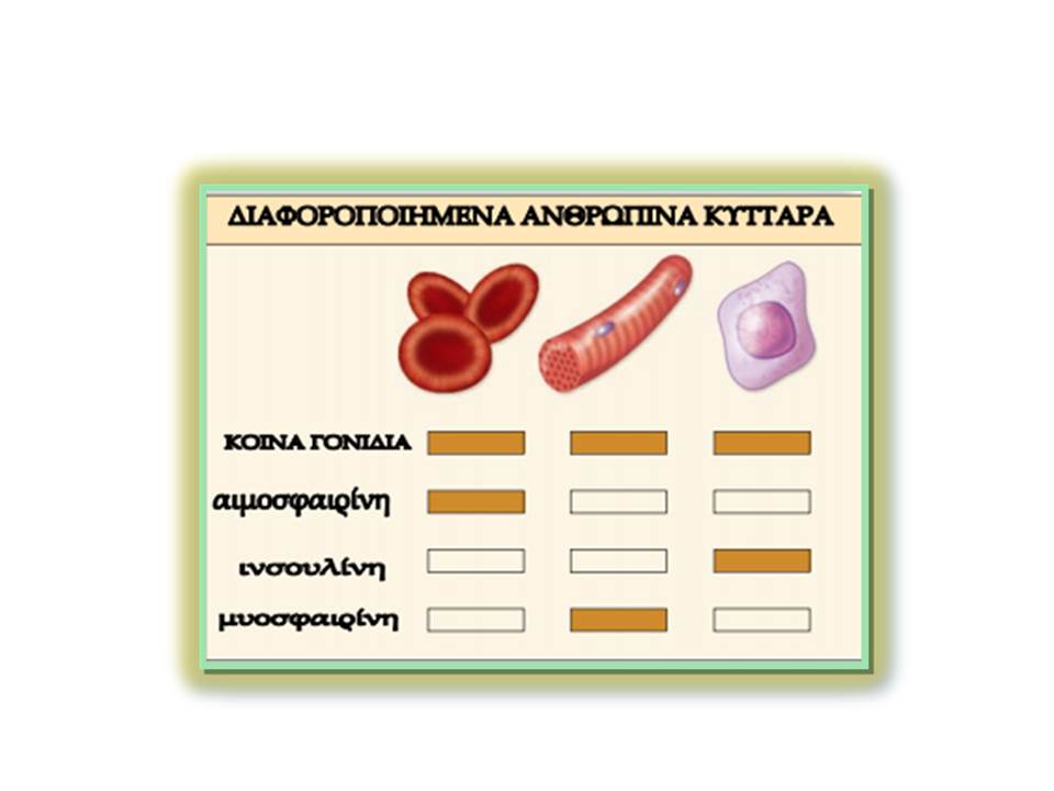 3η Κάρτα 4η