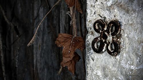 OLD HOUSE DETAIL IOANNINA Νέα Φάρμακα Ι: Ο συνδυασμός πραβαστατίνης με φαινοφιμπράτη για την αντιμετώπιση