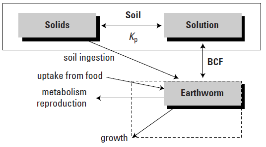 Βιοσυσσώρευση σε ασπόνδυλους οργανισμούς Όπου BCF earthworm = Ο συντελεστής βιοσυγκέντρωσης των γαιοσκωλήκων (L/(kg wet wt.