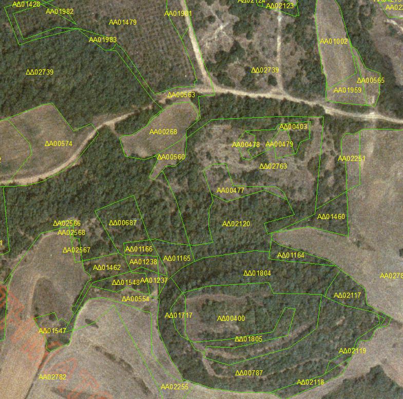 Δασικοί Χάρτες Κατάρτιση: ξεκίνησε το 1998 Σκοπός: ο διαχρονικός (σήμερα και στο παρελθόν) και χωρικός (γεωγραφικός) προσδιορισμός και η αποτύπωση των δασών και των δασικών