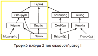 Εικόνα 3 Δ1. Να γράψετε στο τετράδιό σας, πόσες τροφικές αλυσίδες υπάρχουν στο κάθε τροφικό πλέγμα (μόνο τον αριθμό τους) από τα παραπάνω.