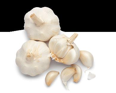 Garlic sarımsak Usturoi