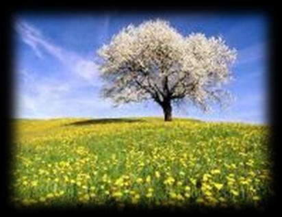 Spring İlkbahar Primăvară