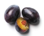 Plum Erik Prună δαμάσκηνο