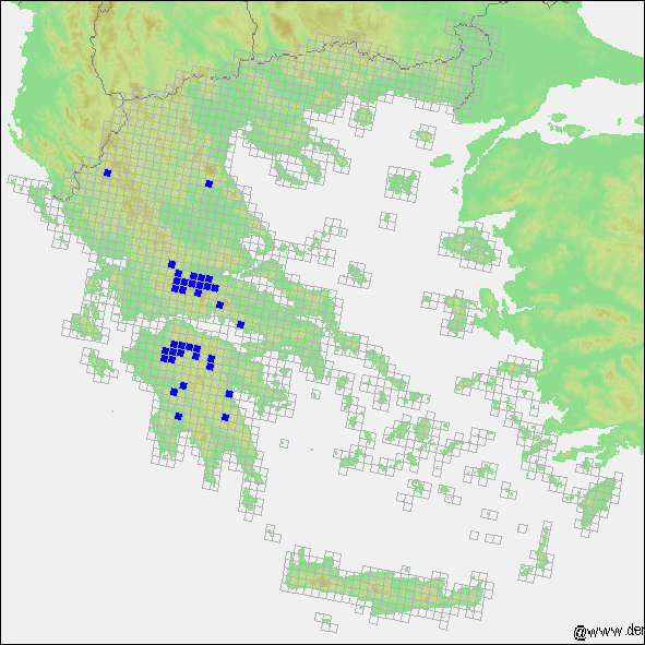 Όλη η Ελλάδα και η Ευρώπη χωρίστηκε σε κελιά (τετράγωνα). Για κάθε ένα από αυτά πρέπει να βρεθεί σε τι κατάσταση είναι ο τύπος οικοτόπου, αλλά και για φυτά και ζώα.