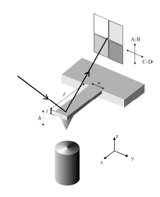 Quantum Spin Off 59 2 Λειτουργική αρχή του ΜΑΔ: Το μικροσκόπιο ατομικής δύναμης (ΜΑΔ) βασίζεται σε μέτρηση δυνάμεων αντί για μέτρηση ρεύματος.